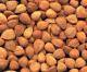 What Are The Various Uses Of Apricot Kernels